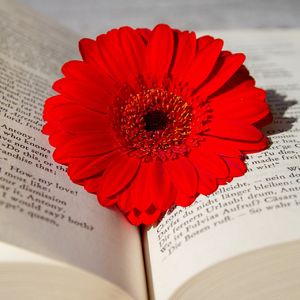 ふじみ野市の菊地整骨院では技術・知識の向上のためセミナーや研究会に積極的に参加しております。